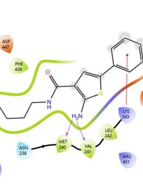 分子对接蛋白对接药物发现药物设计