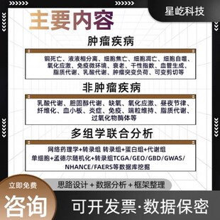 全转录组 RNAseq 数据分析分子动力学模拟 dft 计算高斯 ms