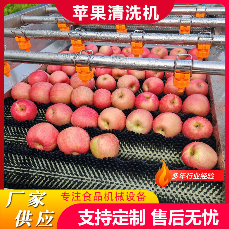 厂家现货平行毛辊清洗机全自动芒果去杂毛刷清洗机李子毛辊洗果机