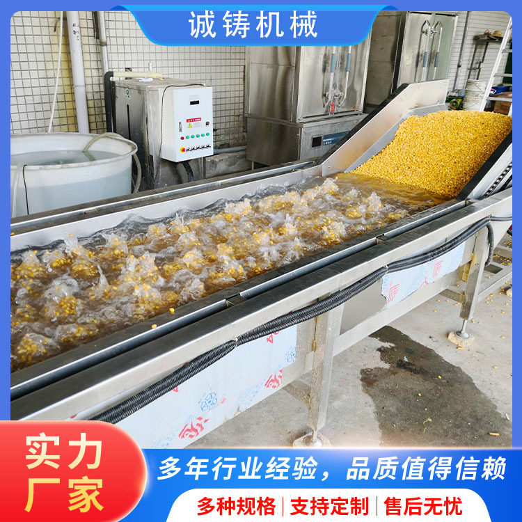 商用净菜设备流水线苜蓿菜漂烫杀青设备桑芽菜漂烫机蔬菜杀青焯水