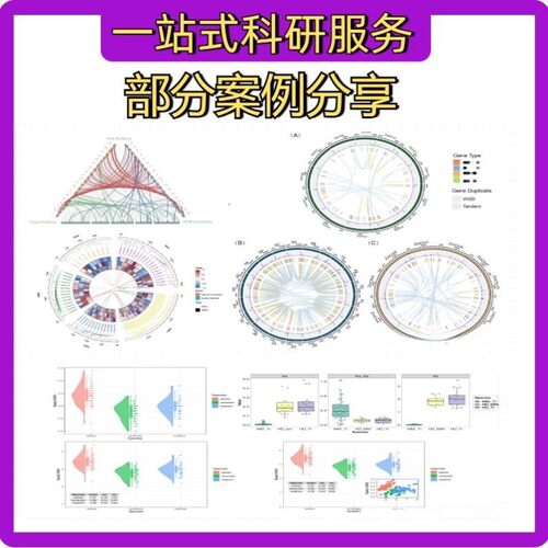 生信分析指导一对一\单细胞转录组\代谢组微生物\R语言医学孟德尔