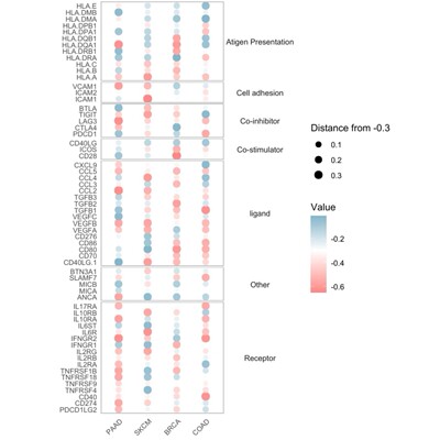 一对一辅导/系统学单细胞测序/chipseq/RNAseq/Atacseq/R语言培训