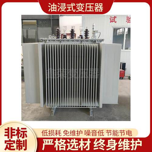 10KVS11-M200KVA10/0.4双绕组三相全密封油浸式电力变压器