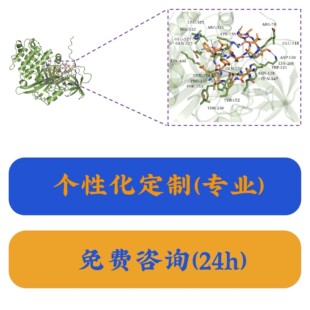 单细胞转录组scRNA-seq全代码流程。 全部代码均有详细中文注释