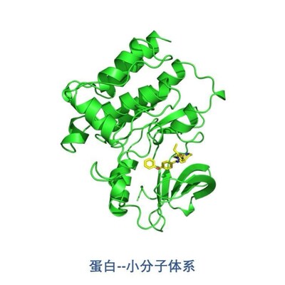 分子动力学模拟蛋白互作研究RMSD结合自由能计算MMGBSA增强采样MD