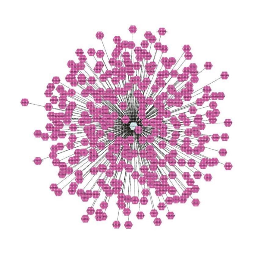 中医网络药理学 中药复方 分子对接代做 TCMSP GO/KEGG cytoscape