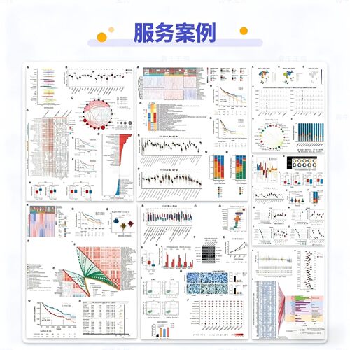 生信分析表观遗传甲基化转录组联合分析差异筛选功能注释