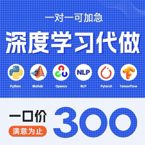 python代编程序机器深度学习代码指导问题解决调试代做作编写接单