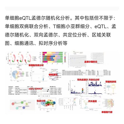 生信分析TGGA数据挖掘GEO网络药理学服务