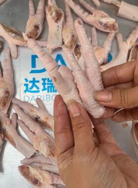 W连续式不锈钢鸡爪凤爪割爪机切半机柠檬凤爪泡椒酸辣鸡爪切割机