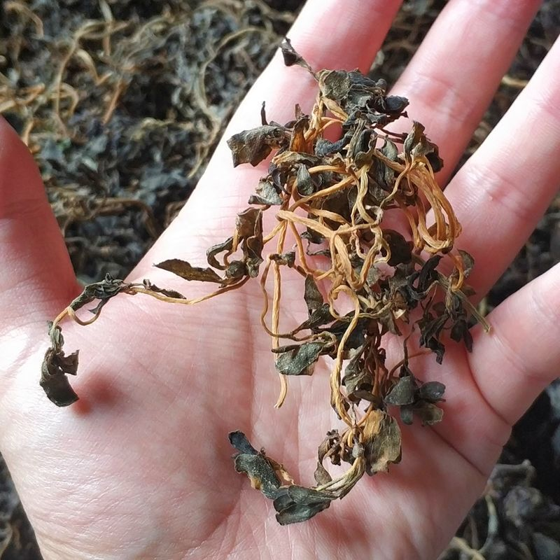 马齿苋干新晒新货野生干货包邮马齿笕马齿菜马子菜长寿菜食用批发