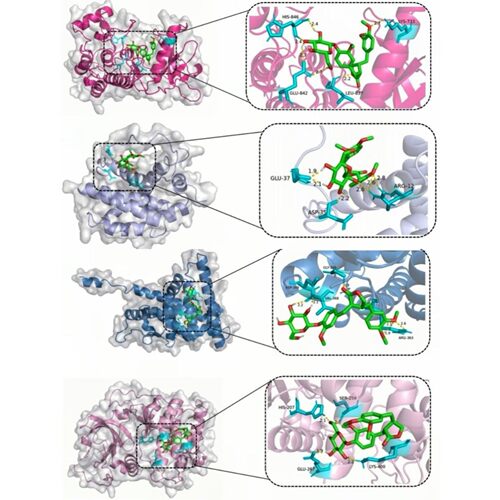 生信分析服务/公共数据库单细胞数据分析/10xRNA/scRNA数据分析