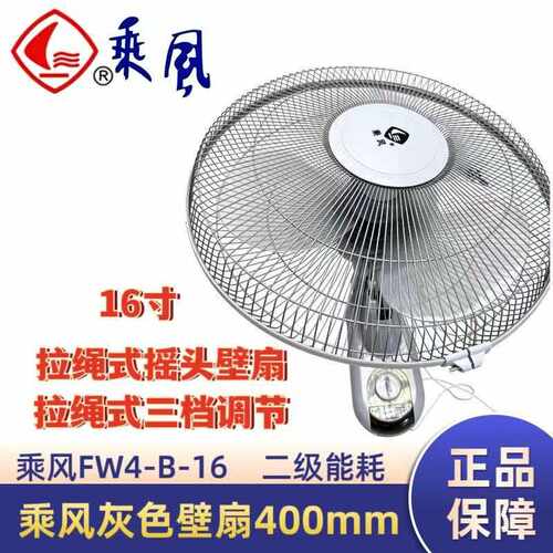 乘风壁扇400mm电扇壁挂扇电风扇家用餐厅16寸摇头扇FW4-B-16