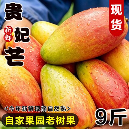 芒果新鲜贵妃芒大果当季水果整箱树上熟滑甜多汁红金龙辣椒芒包邮