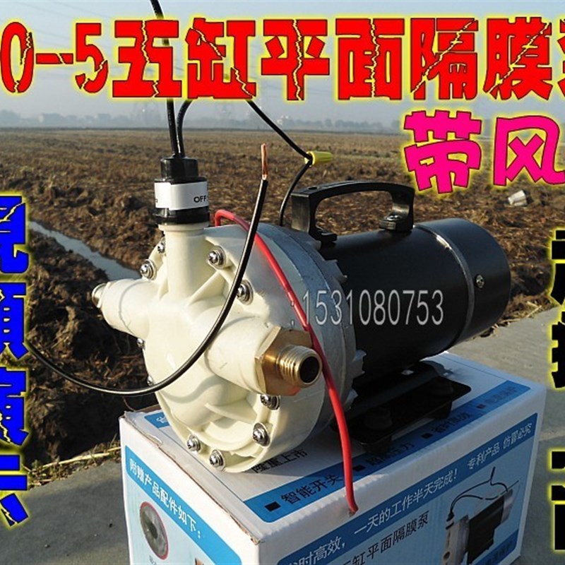 12V24V48V60V电动喷雾器打药高压隔膜泵农用园林抽水机灌溉洗车泵