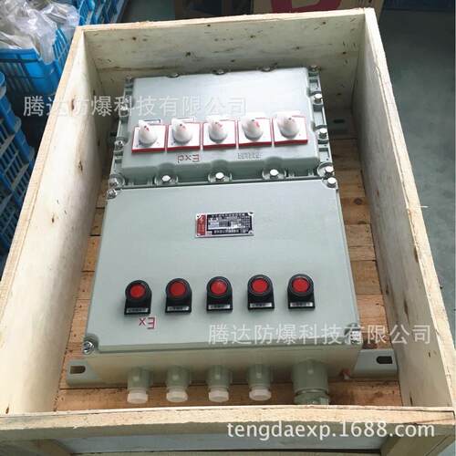 BXBXM(D)53回M(D)5-6K路D3Z4763A小防爆配电箱防爆非标电气接线型