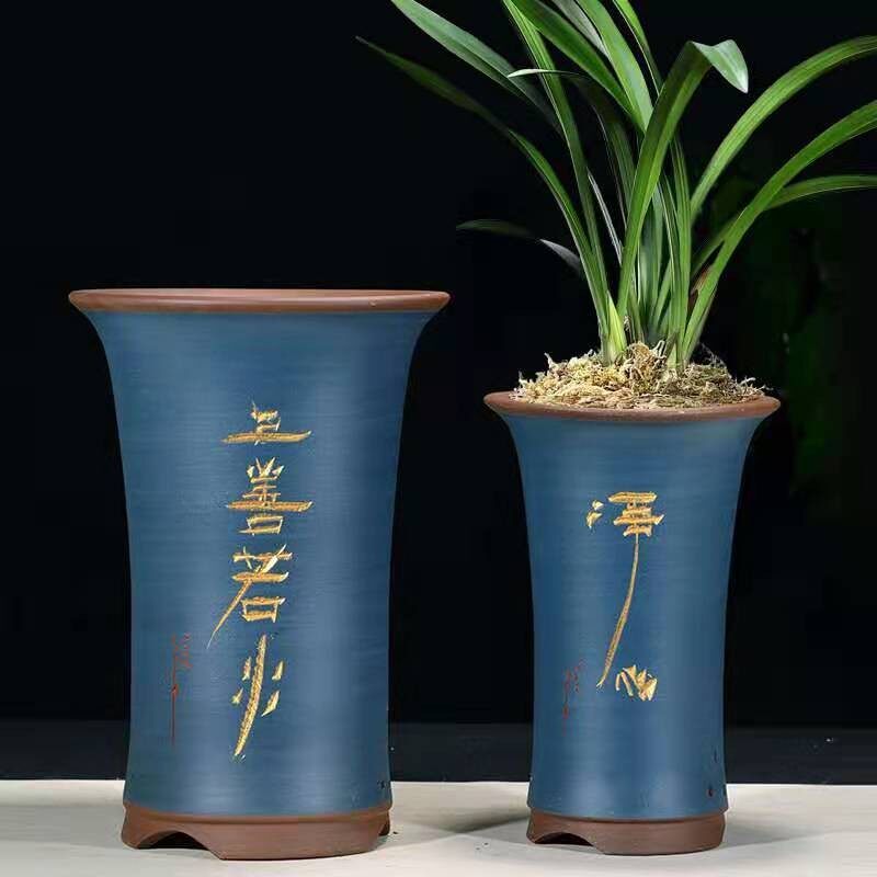 绿植兰草花盆紫砂室内桌面兰花精品君子兰