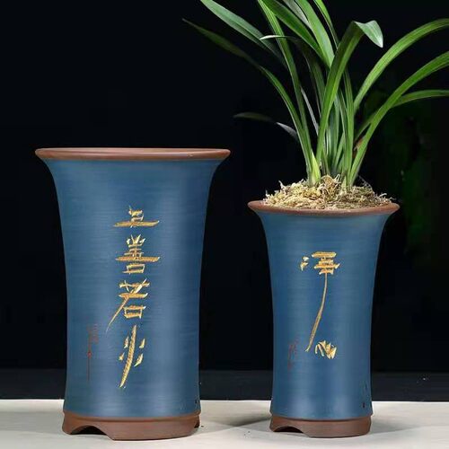 绿植兰草花盆紫砂室内桌面兰花精品君子兰