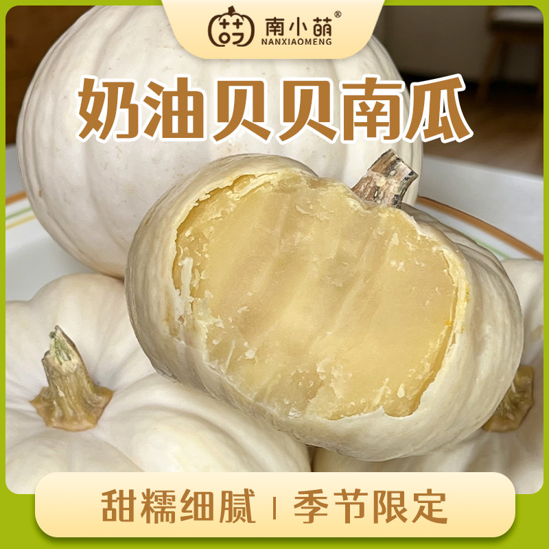 南小萌奶油贝贝南瓜奶贝板栗小南瓜正宗板栗味贝贝白贝白色贝贝