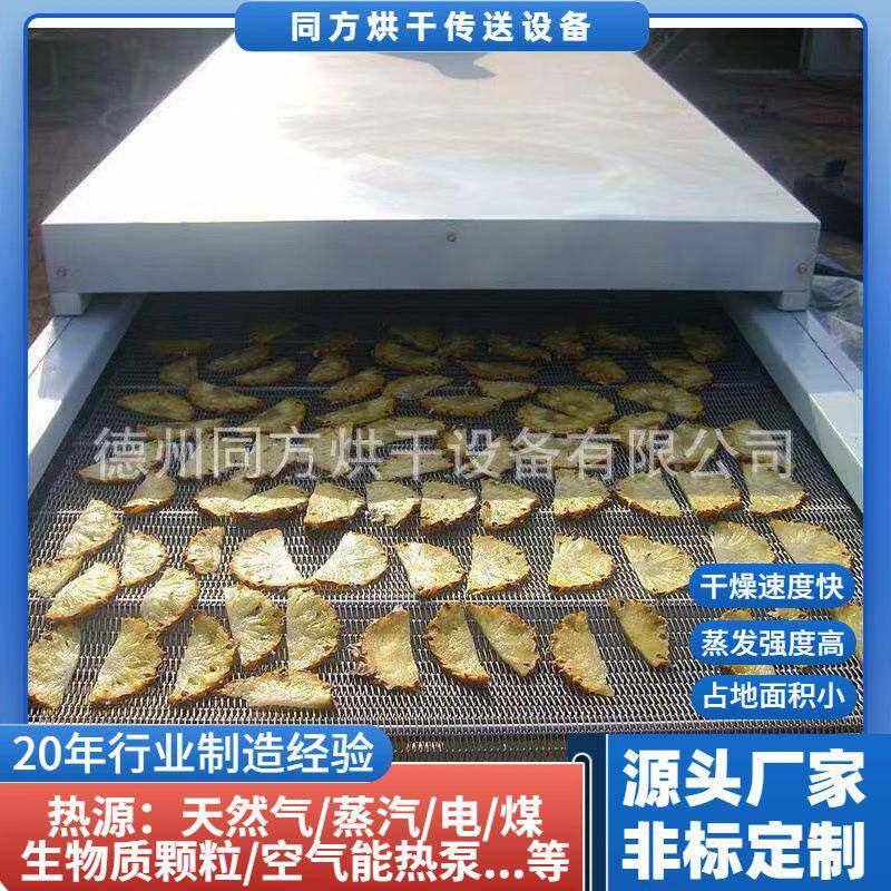 厂家供应小型水果烘干机带式果蔬干燥机水果片、菠萝片烘干机