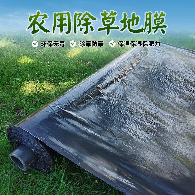 黑地膜农用除草膜果树双色反光膜防虫大棚蔬菜保温种植膜新料加厚