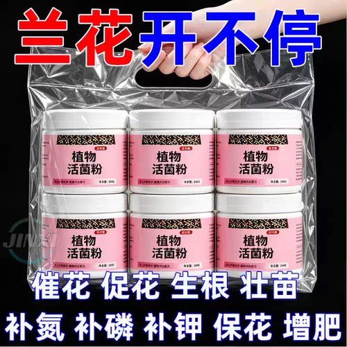 植物活菌粉兰花专用菌微生物菌剂养根壮根防烂根水溶肥兰菌粉肥料