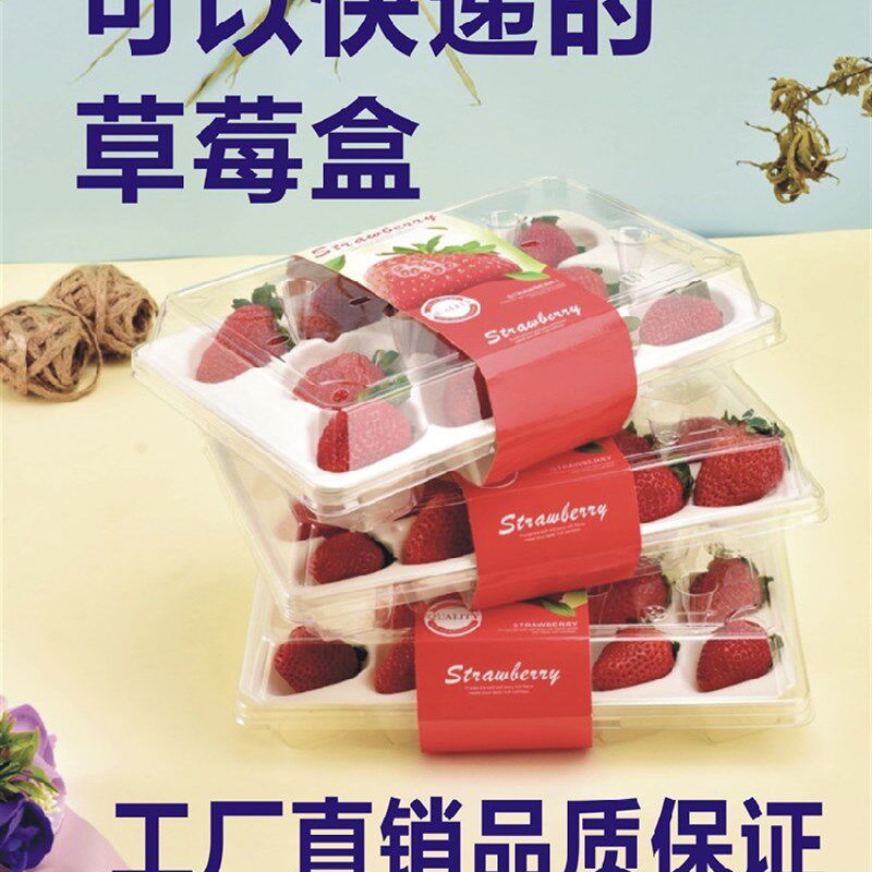 草莓快递打包盒分隔透气水果包装盒11粒15粒20粒装透明加厚草莓盒