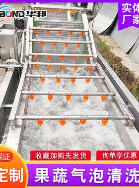 供应 气喷辣椒清洗机 451泡自动淋冲辣椒机器 式连续洗菜机价格