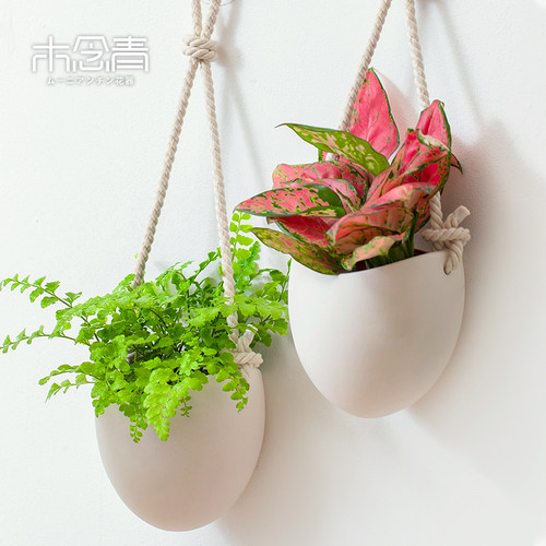 吊篮花盆白色陶瓷墙上壁挂式免打孔水培绿萝创意装饰吊盆悬挂式