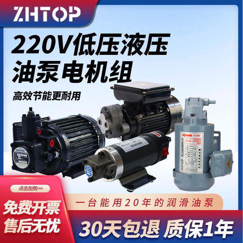 电动抽油泵220V变量叶片柴油机油食用油液压油泵粘度自吸齿轮泵