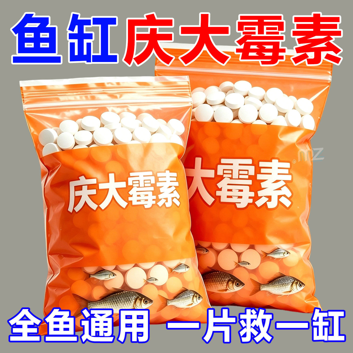 庆大霉素鱼病专用药烂身烂尾白点白毛掉磷蒙眼杀菌消炎康复消毒药