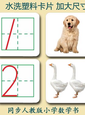 幼儿童塑料田字格数字卡片01到20幼儿园小学认识数早教玩具卡片式