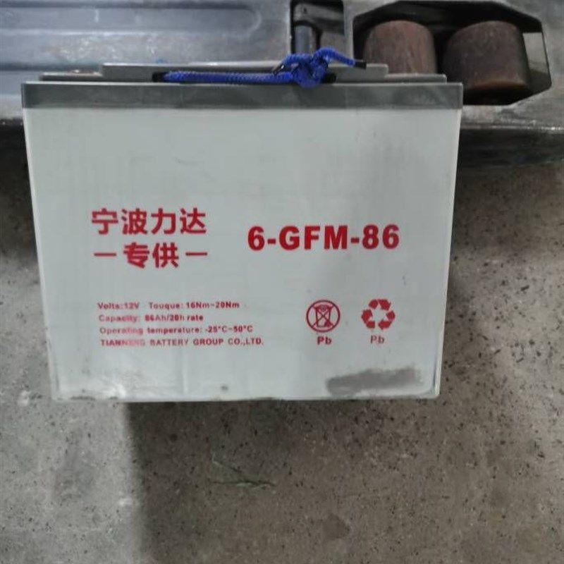 宁波力达6-GFM-86叉车电池电瓶CBD15-170H小金刚配件电池