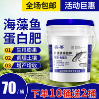鱼蛋白黄腐酸钾水溶肥冲施肥有机桶肥高钙高钾果树蔬菜生根膨果型