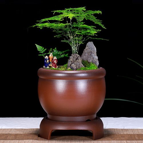 宜兴紫砂花盆舍得精品兰花盆君子兰盆景盆室内阳台古典带托盘陶瓷