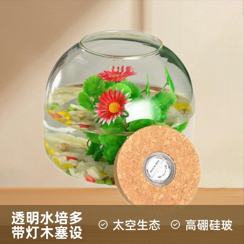 太空生态玻璃瓶带灯木塞储物火山瓶透明水培多肉微景观瓶生态鱼缸