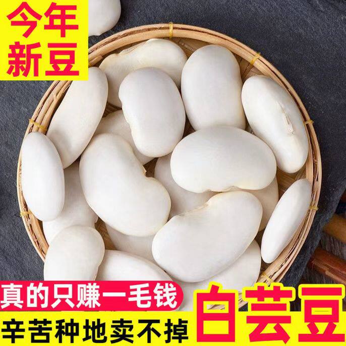 白芸豆干货云南大白豆白云豆新货大雪豆扁豆新鲜豆子腰豆五谷杂粮