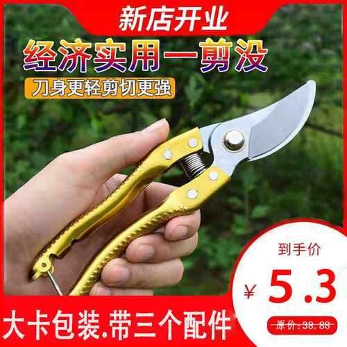 直销SK5果枝剪8寸省力果树修枝剪园林园艺工具树枝剪刀