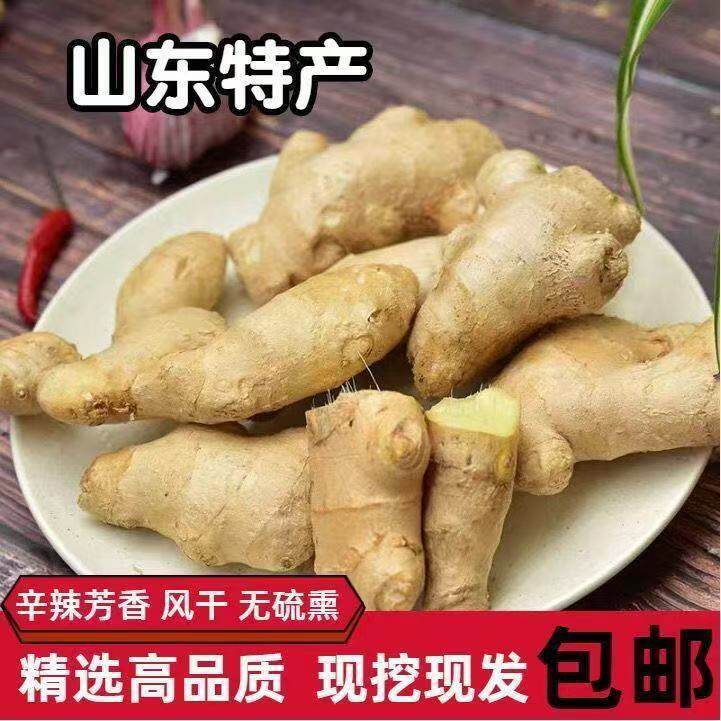 【农场直发】生姜山东特产无土辛辣味浓的生姜大块姜大黄姜新鲜V