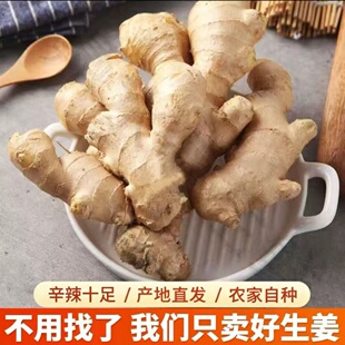 山东生姜大姜新鲜生姜农产品农家自种辛辣十足干姜姜块农家自种s