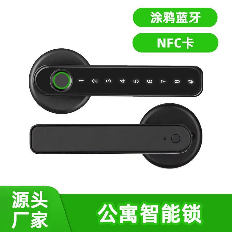 跨境公寓智能锁公室木锁免开孔指纹锁涂鸦通通密码卧室房间门锁
