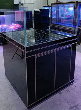 烤漆玻璃款金鱼缸