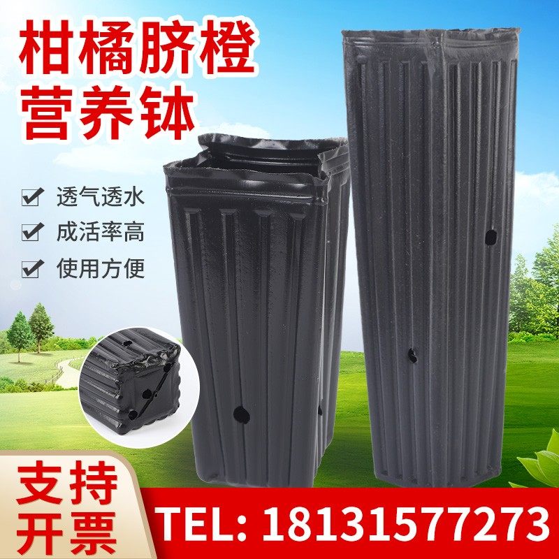 柑橘脐橙营养钵绿植苗圃育苗盆长筒异形育苗杯塑料育秧盘方形橘