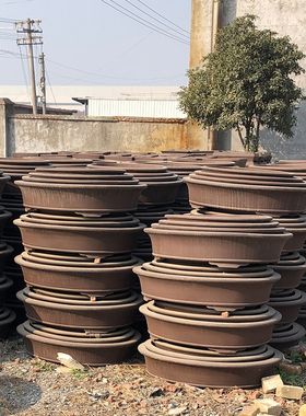 宜兴紫砂花盆一米椭圆形大号腰元80公分树桩盆景花卉绿植地面古典