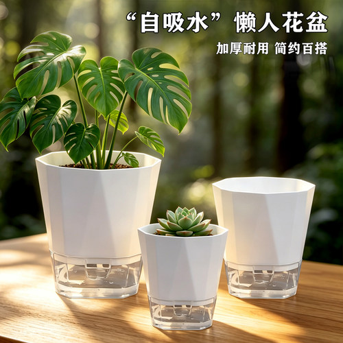 简约现代自吸水透气花盆透明创意