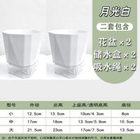 Lazy person's self-absorbing flowerpot, plastic flowerpot, simple and modern, no need for watering, hydroponic plants, transparent thickened lazy person's flowerpot thumbnail 2