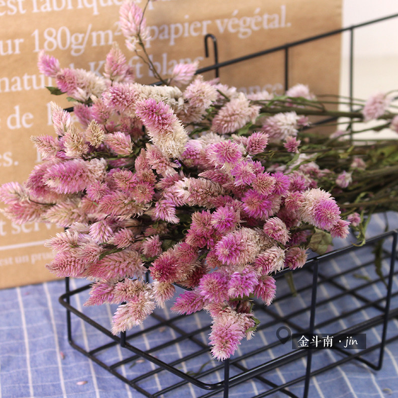 多头凤尾浪漫粉干花云南干花装饰拍摄道具干花束花瓶插花桌花摆设