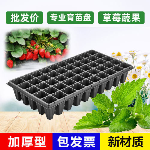 育苗盘穴盘盒箱器托盘辣椒西瓜玉米蔬菜水果林木草莓深口营养钵