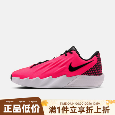 NIKE耐克男子秋TWELVE TIME EP运动训练篮球鞋IM4162-600