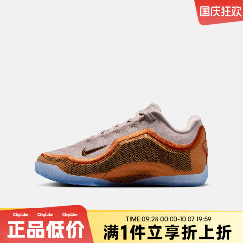 NIKE耐克大童春LEBRON XXIII (GS)运动训练篮球鞋IV4800-602